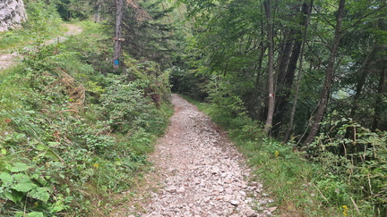 E397B-03-bivio-strada-Cinte-Tesino-Malga-Valle-28.08.2023-CR