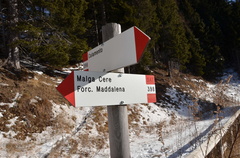 E398-ldp010-01-d01-170115-ED