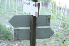 E401A-ldp004-00-d2