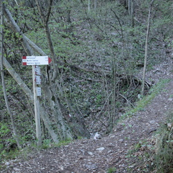E401A