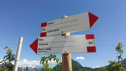 E402-ldp004-00-d01-cr2020