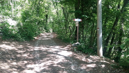 E402-ldp009-00-p1-cr2020