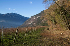 E402-12-Lanciatesa-td-