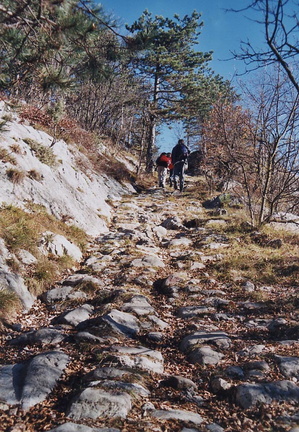 E403B-sentieroCastion-td