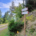 6 foto E405-ldp017-00-p01-231003-GT.jpg