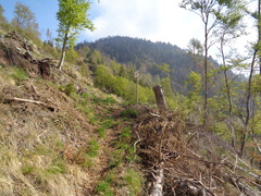 E405-ldp019-00-p01-230507-ED