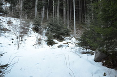 E407-ldp004-01-p01-171216-ED