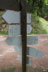 E409-ldp005-00-d3-170616-RT