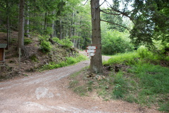 E409-ldp005-00-p6-170616-RT