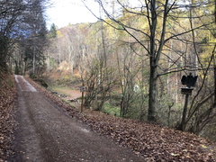 E410-ldp003-00-p01-221118-ED