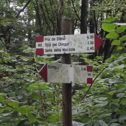 E411