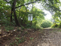 E411-ldp008-00-p2-SZ