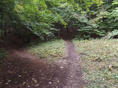 E411-ldp009-00-p01-170924-SZ