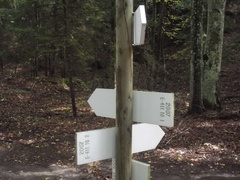 E411-ldp010-00-d03-170924-SZ