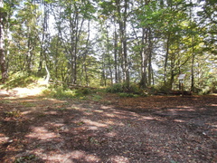 E411-ldp012-00-p02-170924-SZ