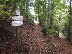 E411-ldp015-00-p01-170924-SZ