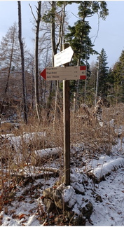 E412-20240215-ldp011-50-p01-CR