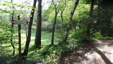 E416-ldp005-00-p02-160514-ED