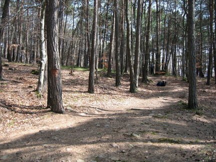 E416-070407-bivio-per-punto-panoramico-2