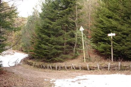 E417-ldp001-00-p1-q950-160224