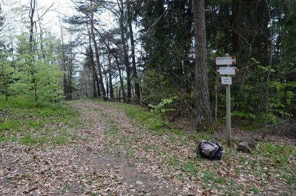 E417-ldp011-00-p1-230416