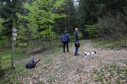 E417-ldp011-00-p2-230416