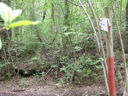 E420-ldp003-01-p1-160423