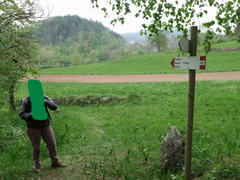 E420-ldp004-00-p1-160423