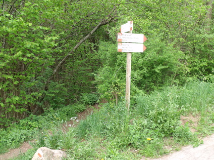 E420A-ldp005-00-p1-160423