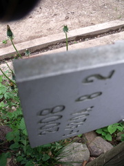 E420A-ldp008-00-d4-160423