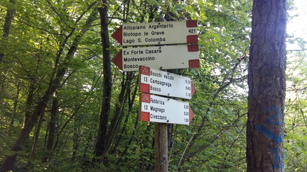 E421-ldp007-00-d1-cr2020