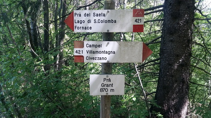 E421-ldp008-01-d1-cr2020