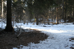 E421-ldp022-00-td-65