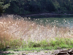 E421-lagodiS.Colomba-p3-160430