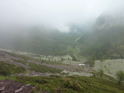 E423-da-Passo-Fregasoga-verso-Malga-Valletta-alta