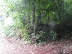 E424-ldp006-00-p1-160520