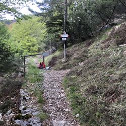 E425