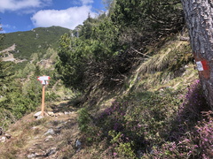 E425-ldp006-01-p01-210526.ED