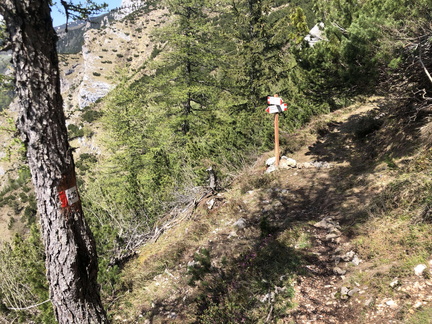 E425-ldp006-01-p02-210526.ED