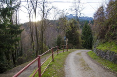 E428-ldp004-00-p01-161209-PG