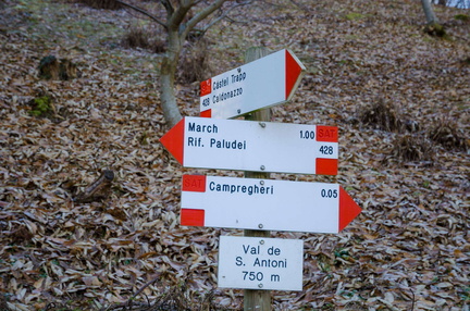 E428-ldp005-00-d01-163011-PG