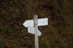 E428-ldp011-00-d02-163011-PG