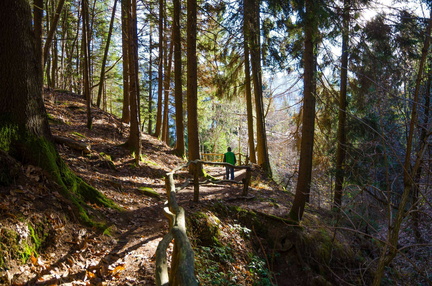 E428-17-protezioni-163011-PG