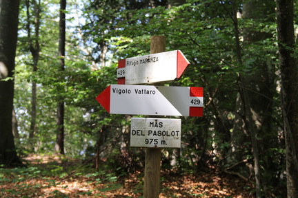 E429-ldp005-00-d2-old