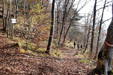 E429-ldp008-00-p2-old