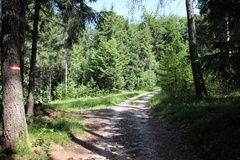 E429-110620-td-5