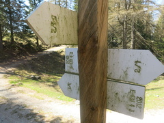 E431-ldp004-00-d02-170423-NK