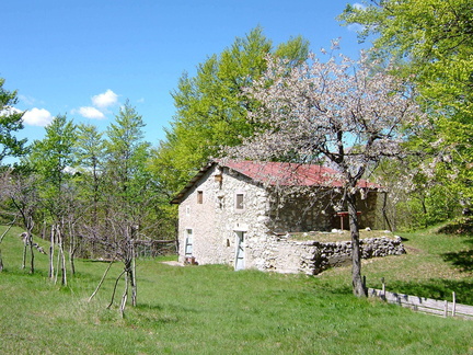E431-050507-scanupia-1