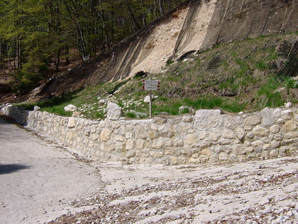 E431-050507-sotto-Malga-Palazzo