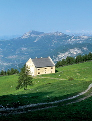 E431-110521-Malga-Palazzo